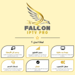 ⁦اشتراك فالكون FALCON - ثلاثة أشهر⁩ - الصورة ⁦3⁩