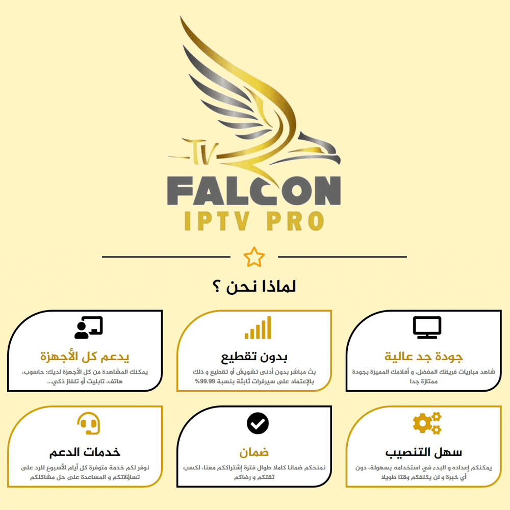 اشتراك فالكون FALCON - ستة أشهر - الصورة 3